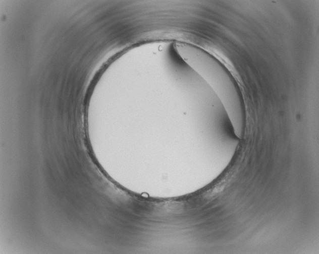 X0000069400992200606091737