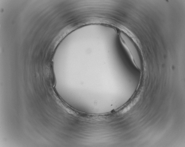 X0000069400993200606091737