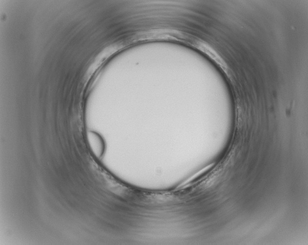 X0000069400994200606091737