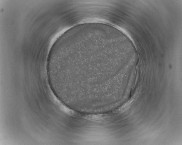 X0000069400995200606091737