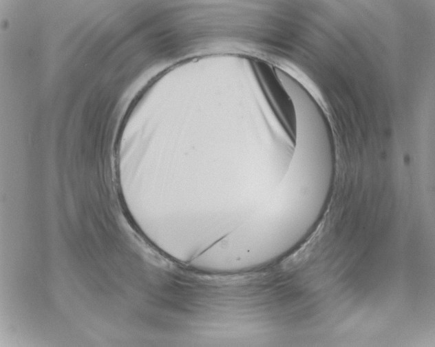 X0000069400996200606091737