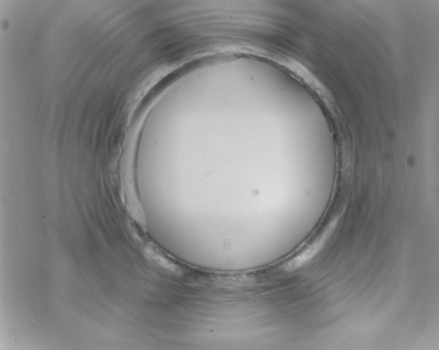 X0000069401001200606091737