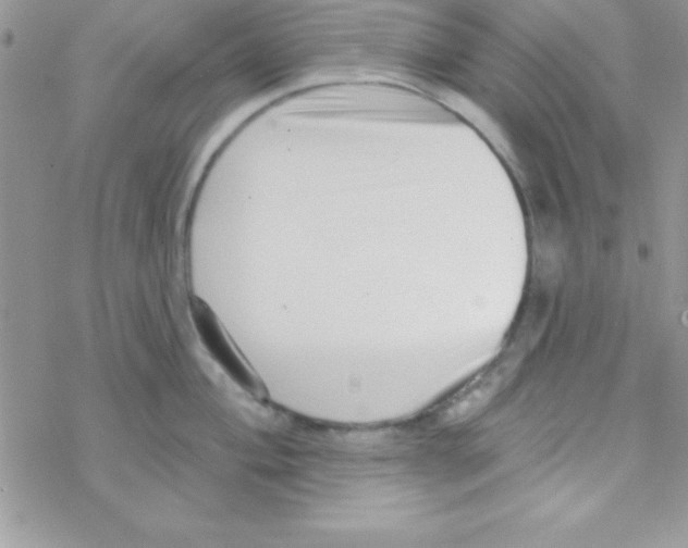 X0000069401004200606091737