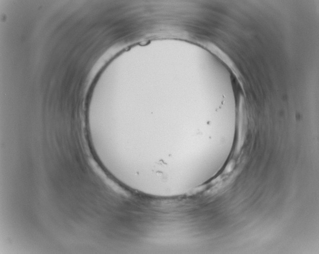 X0000069401005200606091737