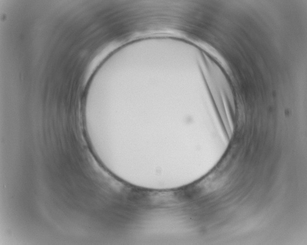 X0000069401006200606091737