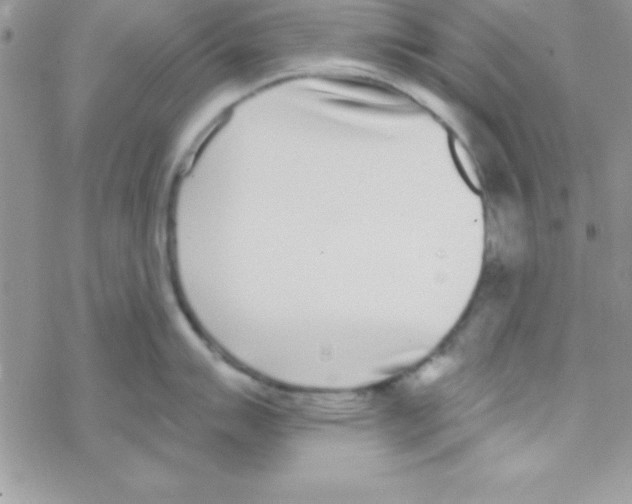 X0000069401007200606091737