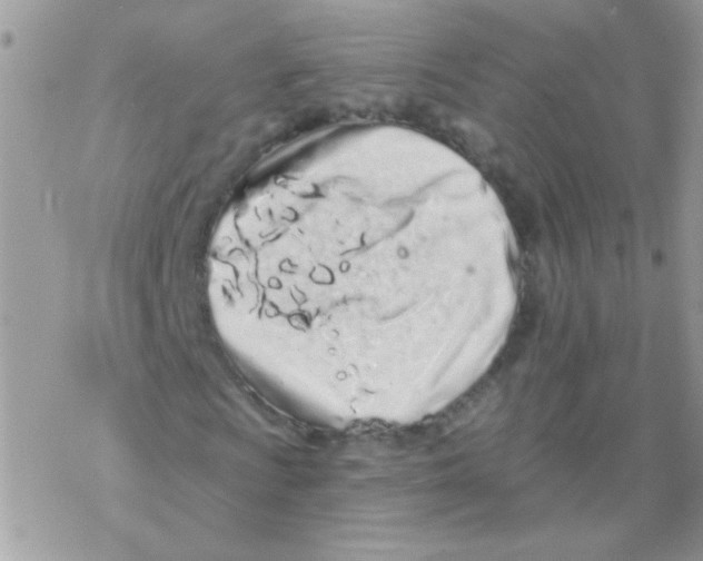 X0000069401009200606091736