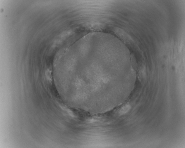 X0000069401010200606091736