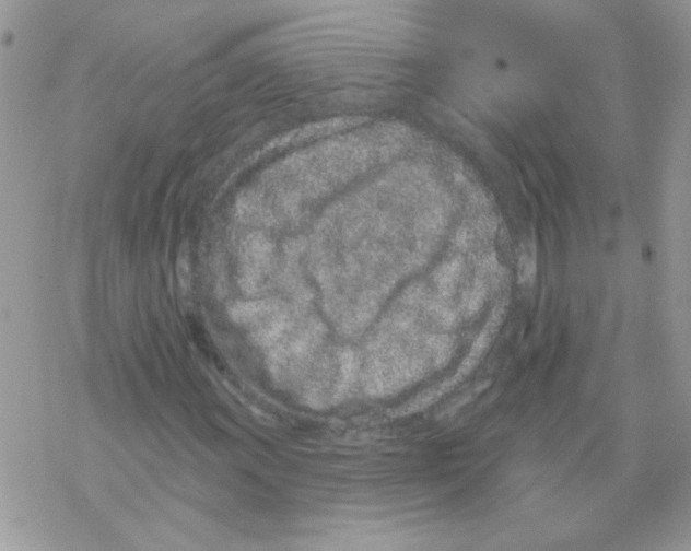 X0000069401011200606091736