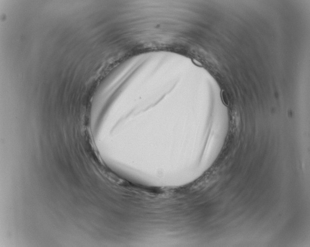 X0000069401012200606091736