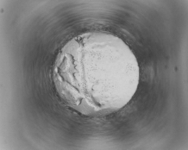 X0000069401013200606091736