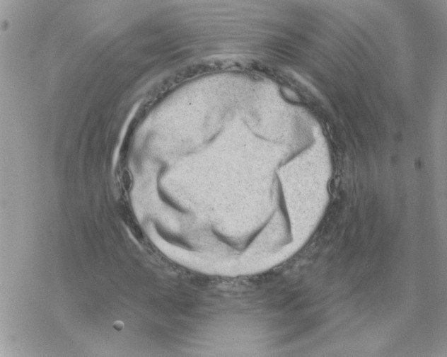 X0000069401015200606091736