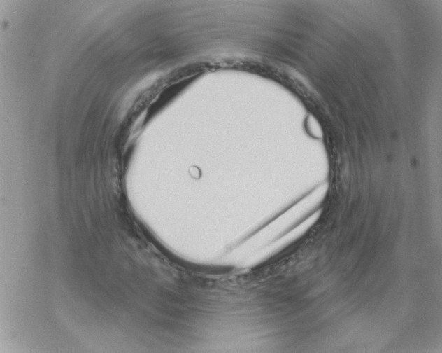 X0000069401016200606091736