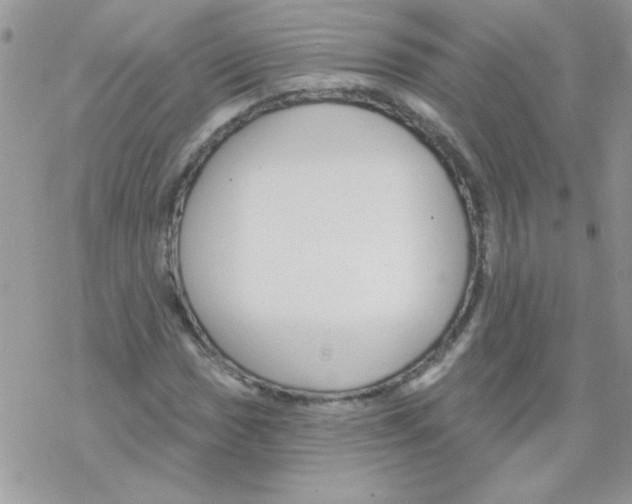 X0000069401017200606091736