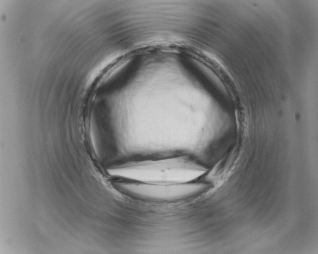 X0000069401018200606091736