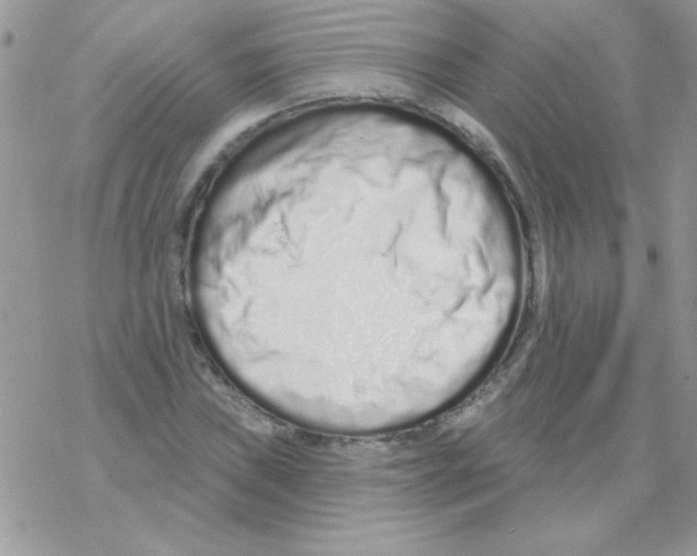 X0000069401019200606091736