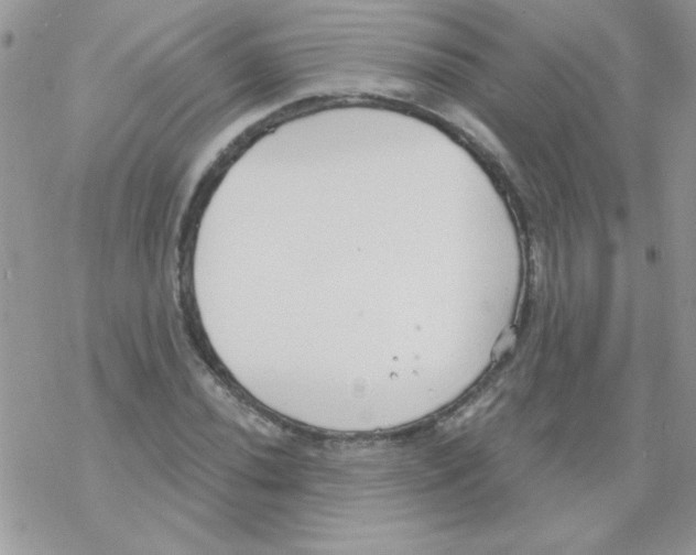 X0000069401020200606091736