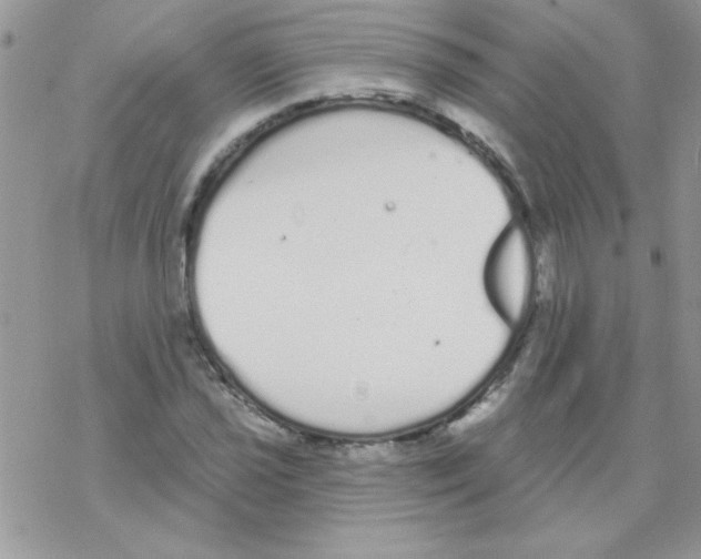 X0000069401021200606091736