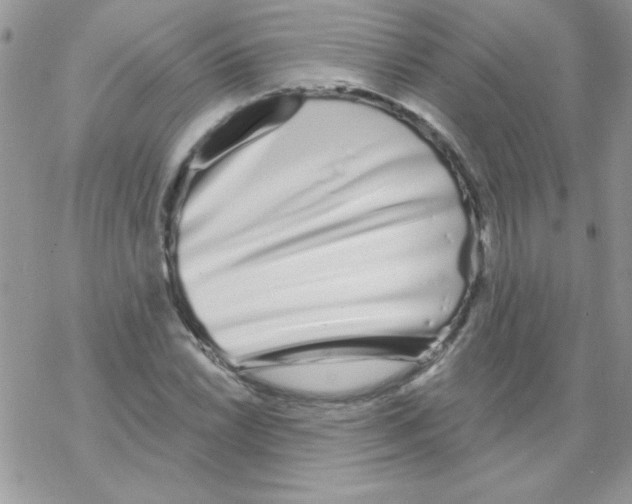 X0000069401022200606091736