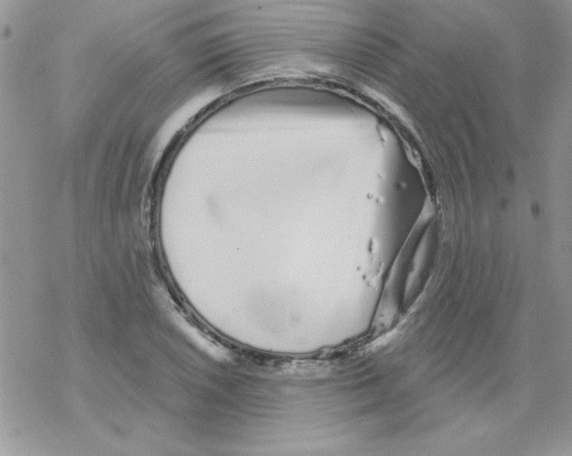 X0000069401026200606091736