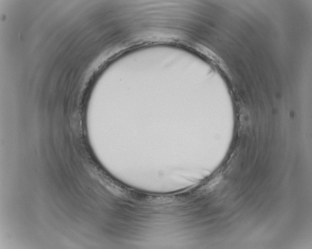 X0000069401027200606091736