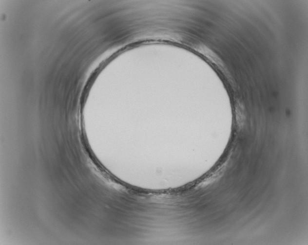 X0000069401028200606091736