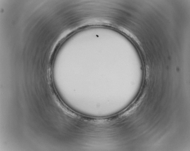 X0000069401029200606091736