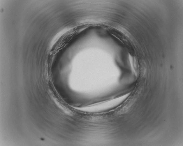 X0000069401030200606091736