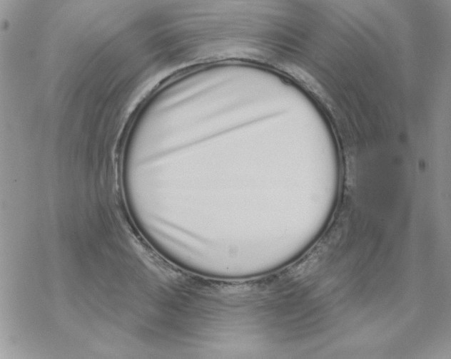 X0000069401031200606091736