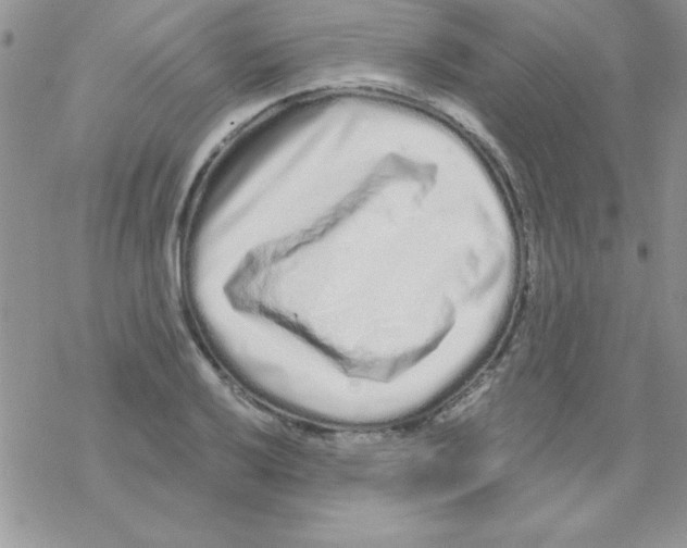 X0000069401032200606091736