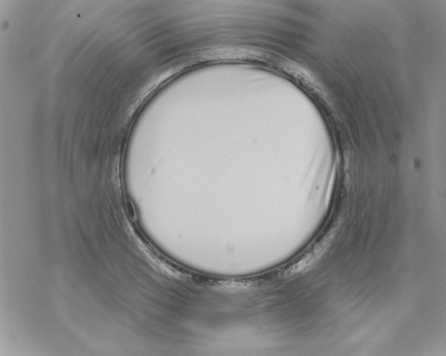 X0000069401033200606091736