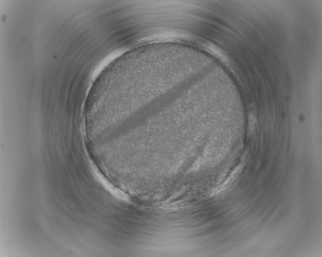 X0000069401034200606091736