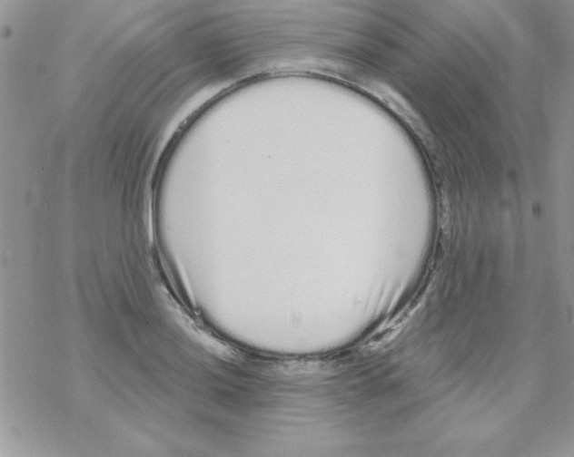 X0000069401036200606091736