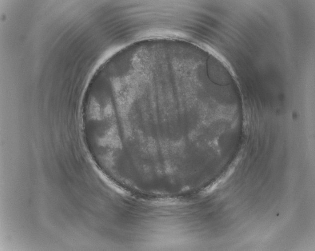 X0000069401037200606091736