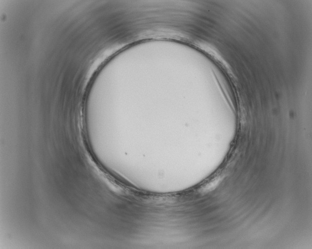 X0000069401040200606091736