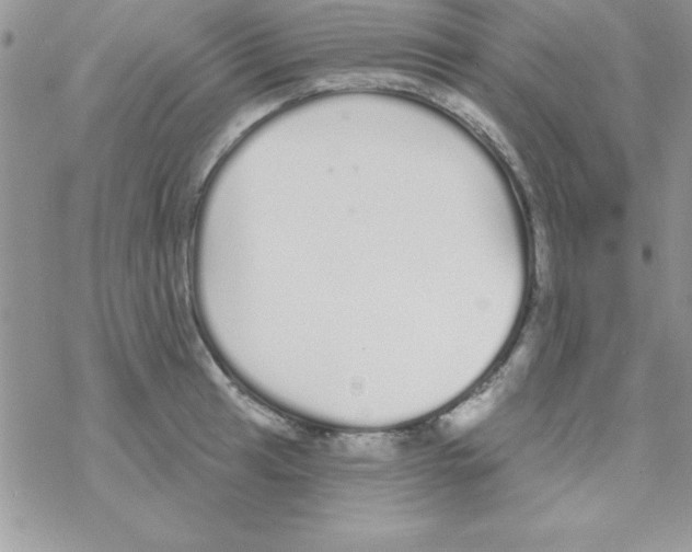 X0000069401041200606091736