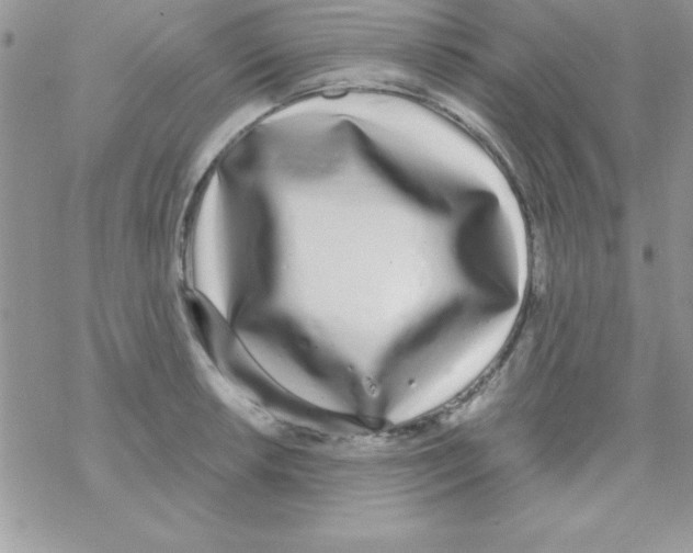 X0000069401042200606091736