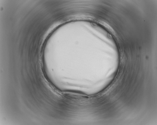 X0000069401043200606091736