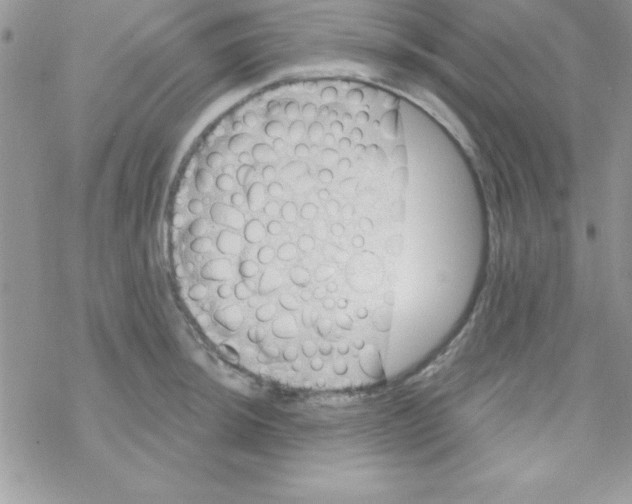 X0000069401044200606091736