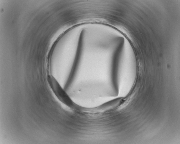 X0000069401046200606091736