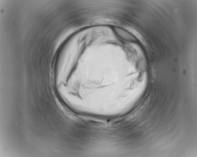 X0000069401047200606091737