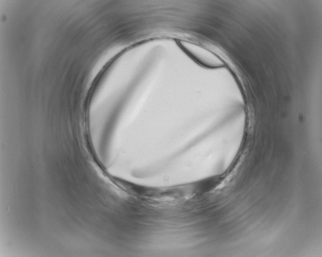 X0000069401048200606091737