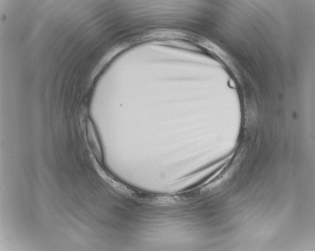 X0000069401049200606091737