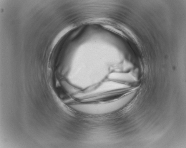 X0000069401050200606091737