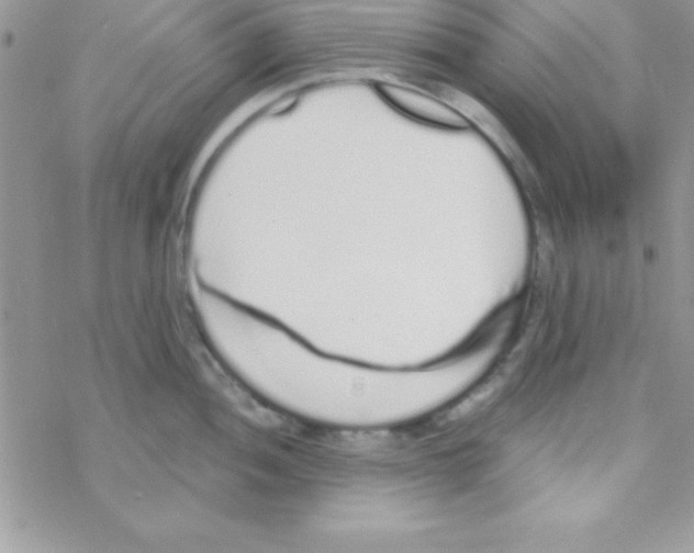 X0000069401052200606091737