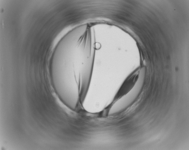 X0000069401054200606091737