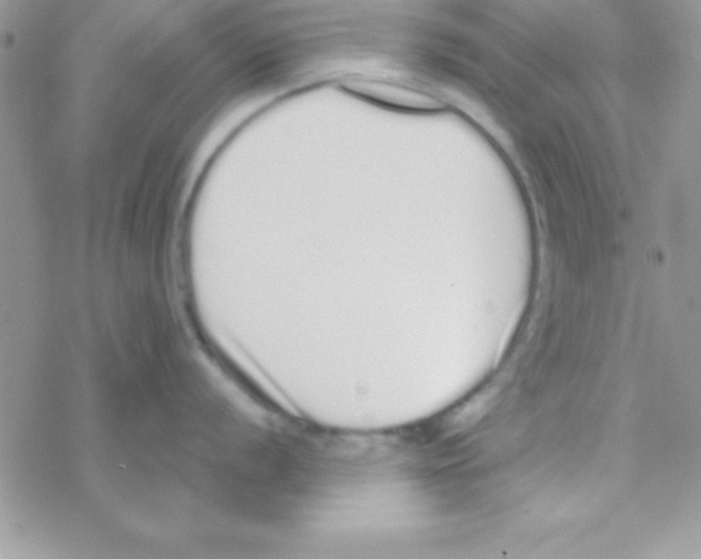 X0000069401056200606091737