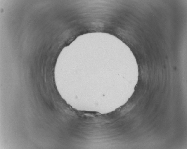 X0000069401057200606091736