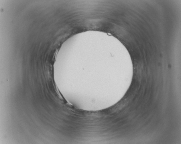 X0000069401058200606091736