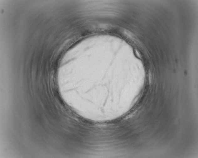 X0000069401059200606091736